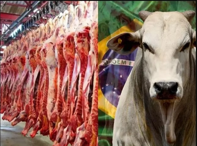 carne brasileira exportação