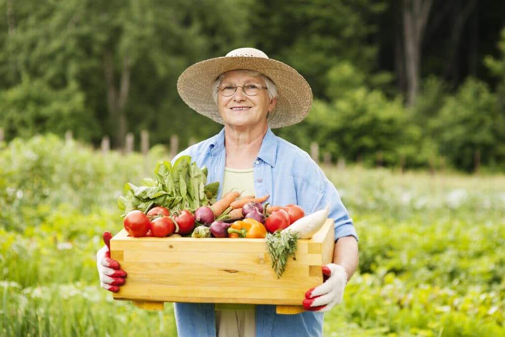 Conheça mais sobre agricultura sustentável