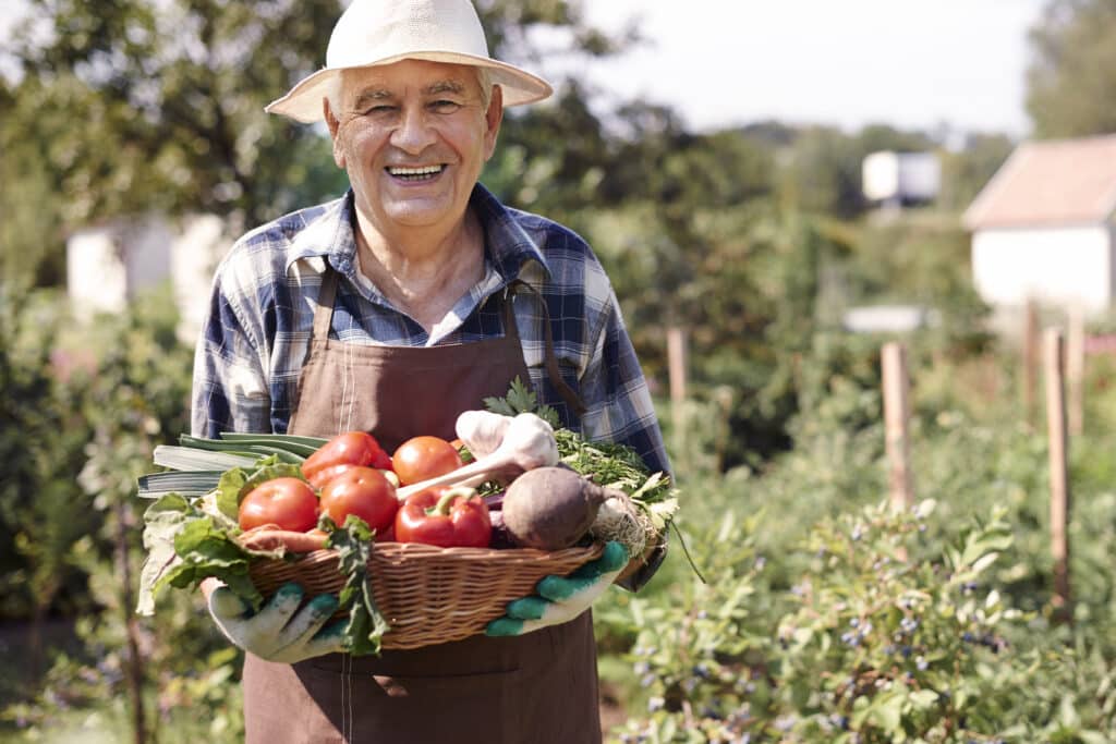 5 dicas para atuar com eficiência no agronegócio