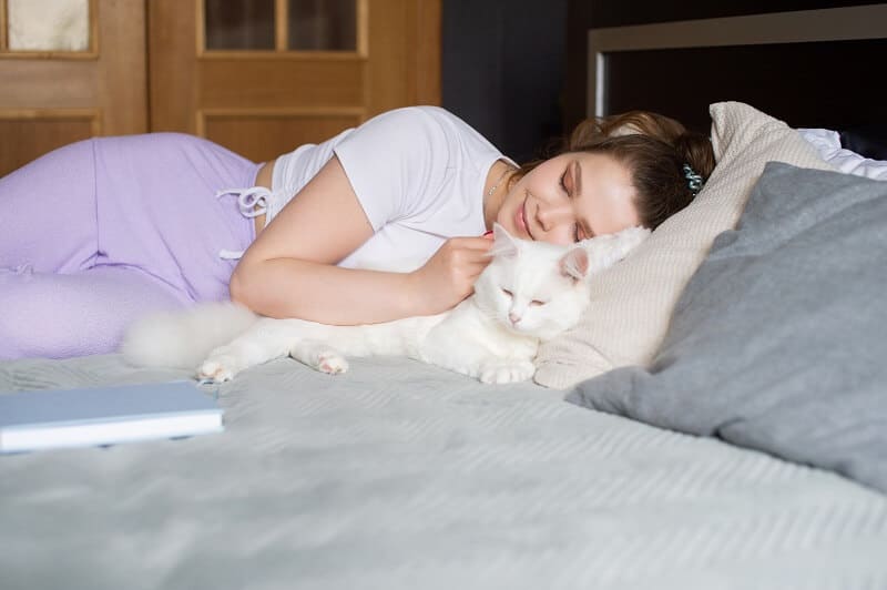 Os arranhadores ajudam seu gato a liberar o estresse, o que traz benefícios para todos os habitantes da casa.
