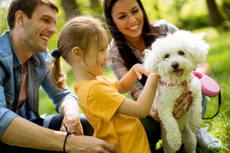 Saiba como escolher a raça de cachorro ideal para sua família