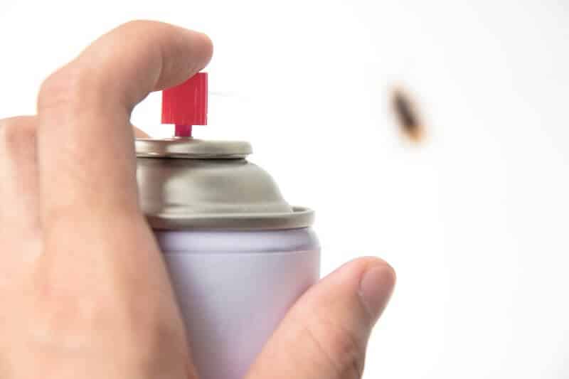 inseticidas são a forma mais eficaz de lidar com infestação de baratas